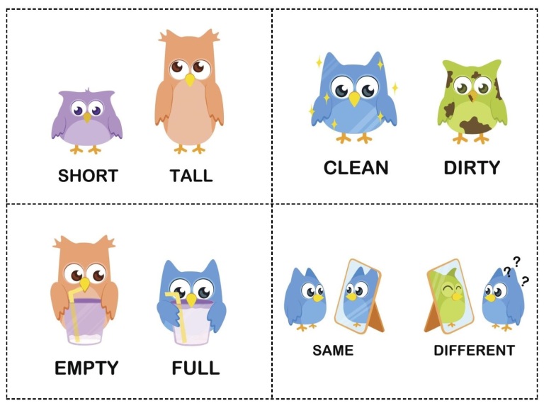 owl-theme-opposites-cards-1
