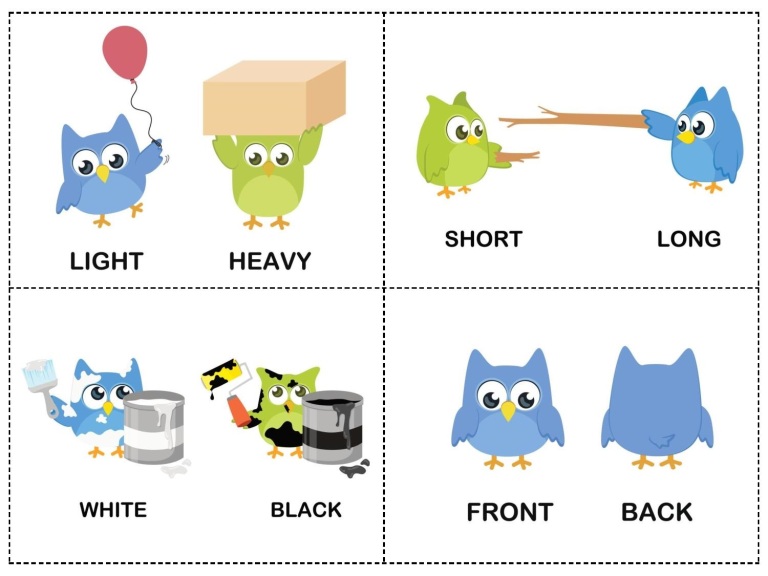 owl-theme-opposites-cards-2